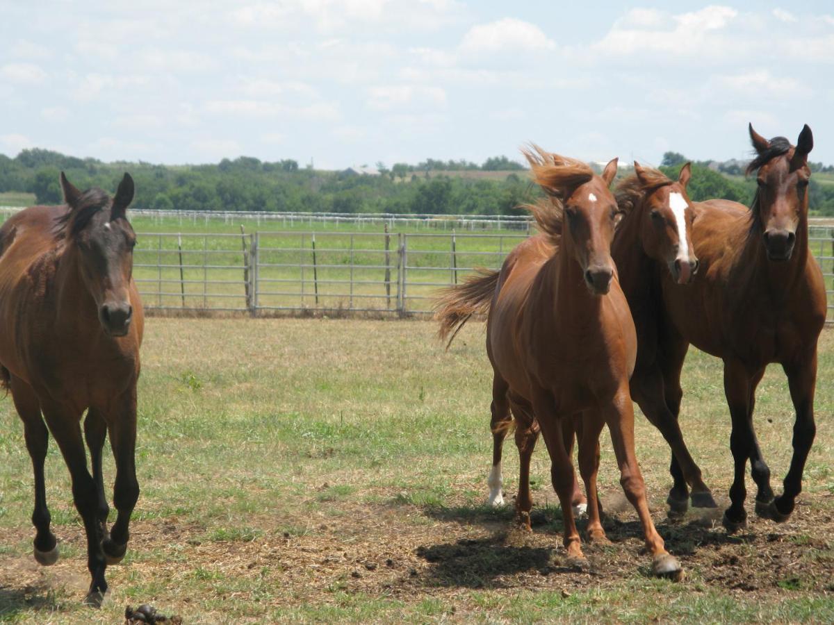 Agriturismo Monsereno Horses Imbersago Εξωτερικό φωτογραφία